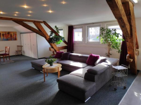 Große 130 m2 gemütliche Wohnung im Herzen Tribergs
